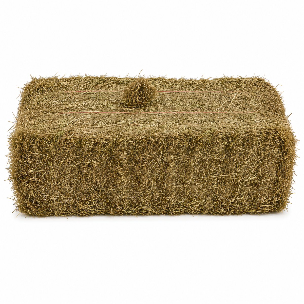 Ryegrass/Timothy Mix Hay (packs of 21)