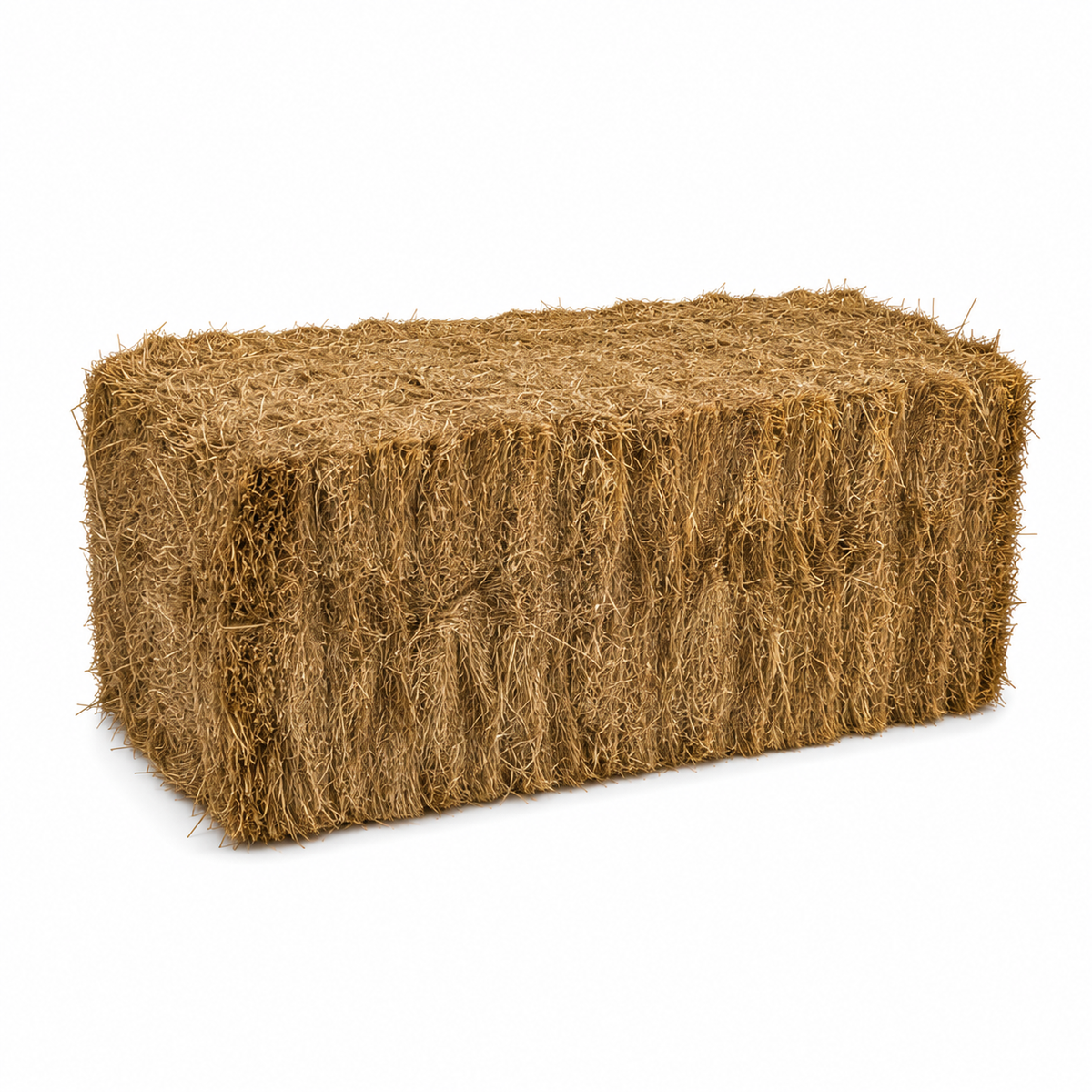 Mini Heston Rygrass Hay