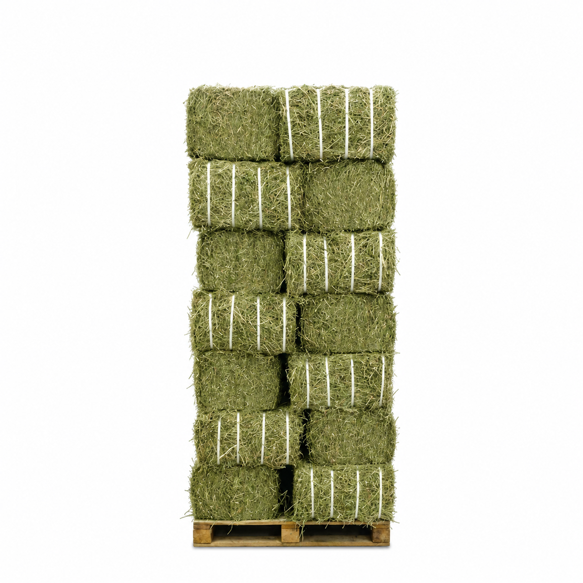 Double Compressed Alfalfa Hay (36 bales Per Pallet)