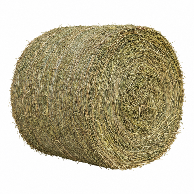 Round Bale Hay