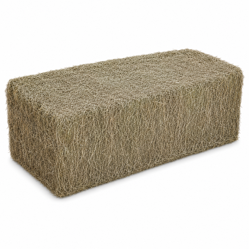 2026 Ryegrass Hay (4x3)