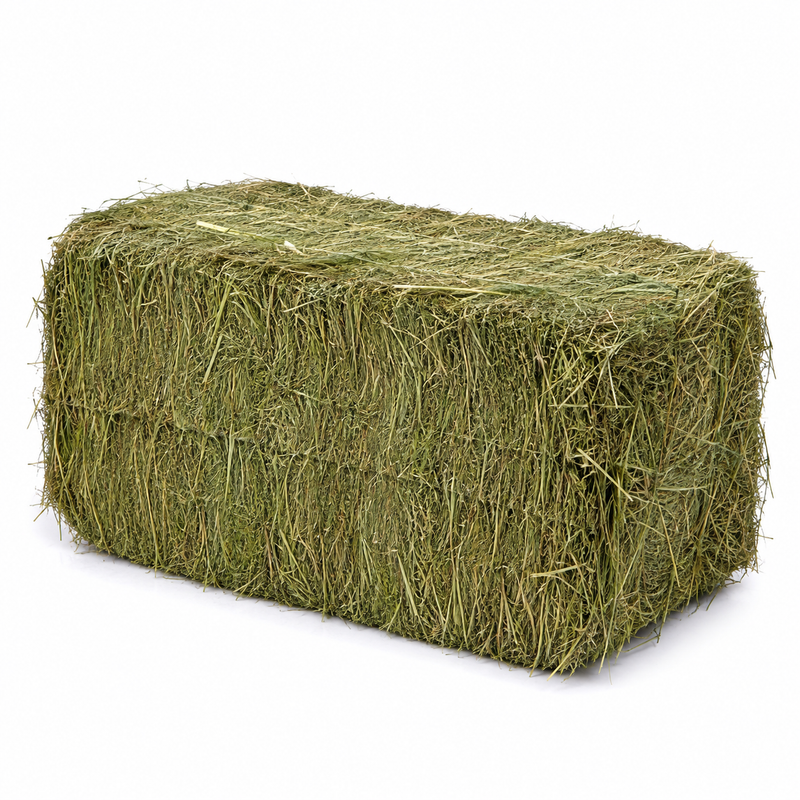 Premium Ryegrass Hay (packs of 21)
