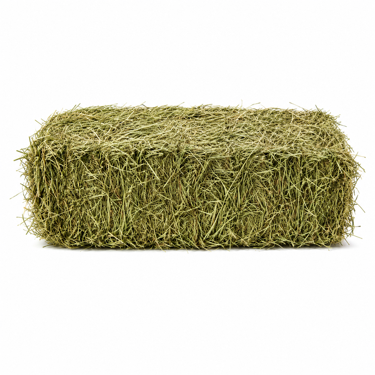 Timothy Hay (packs of 21)