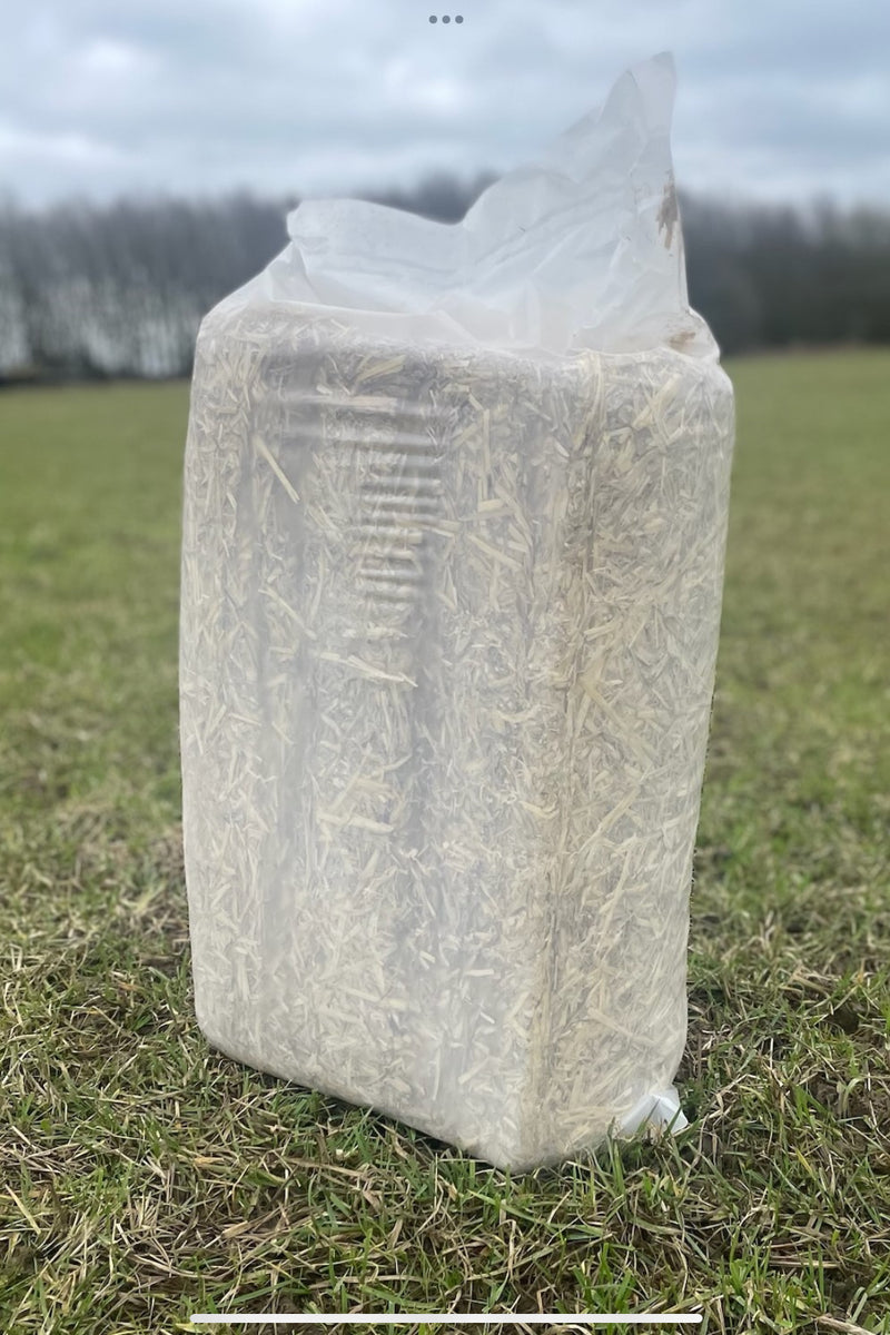 Barley Straw