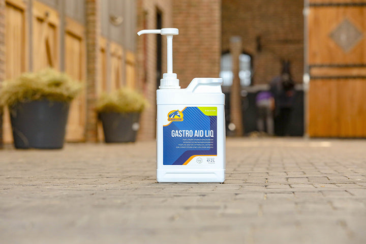 Gastro Aid Liq