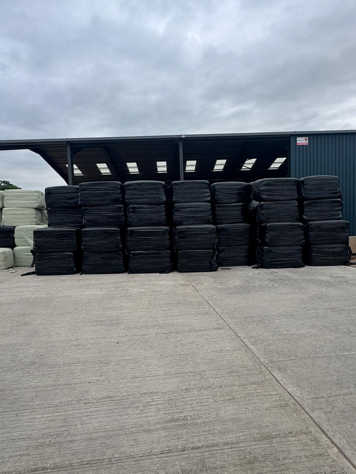 2026 Ryegrass Haylage