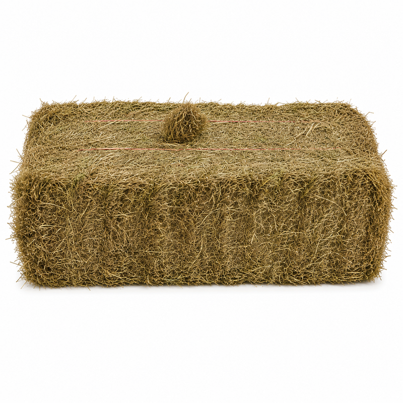 Meadow Hay (packs of 21)