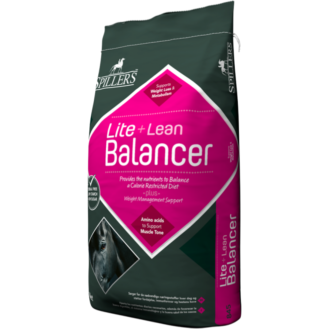 Lite + Lean Balancer
