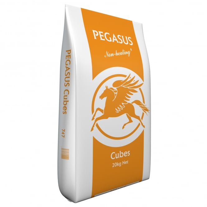 Pegasus Value Horse & Pony Cubes