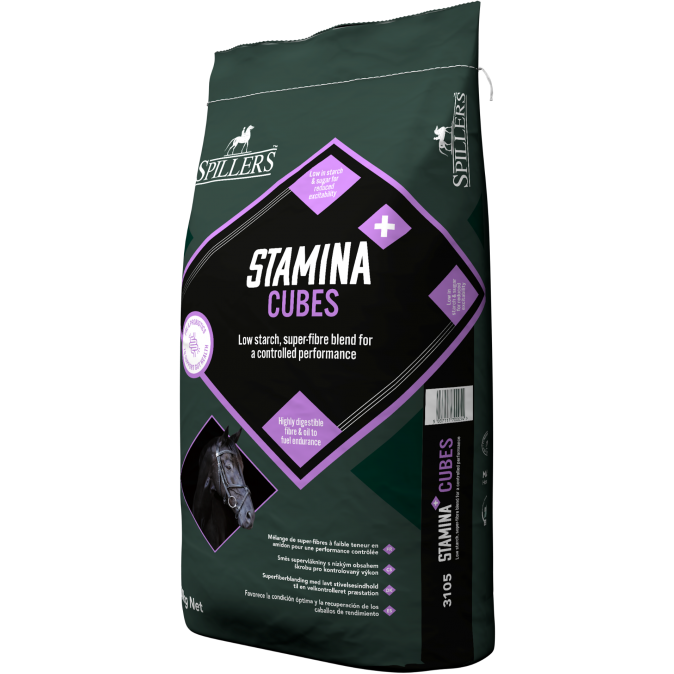 Stamina+ Cubes