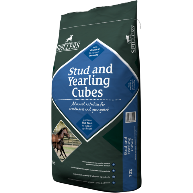 stud and yearling cubes